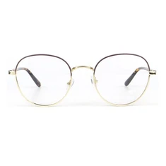 Cadre optique combiné